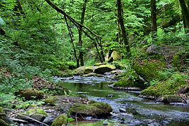 Bernhard Saalfeld - Ehrbachklamm